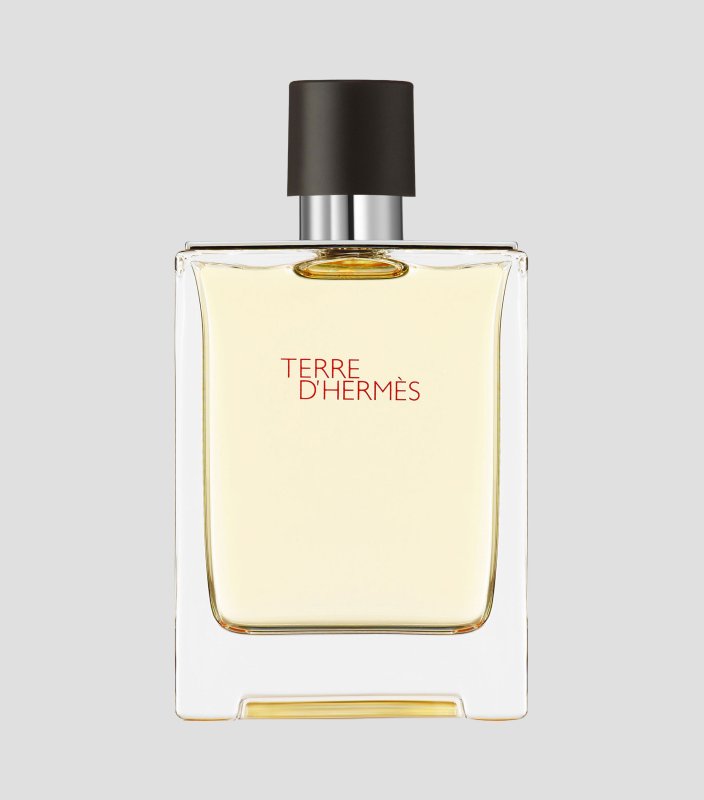 TERRE D HERMES 100ML MEN