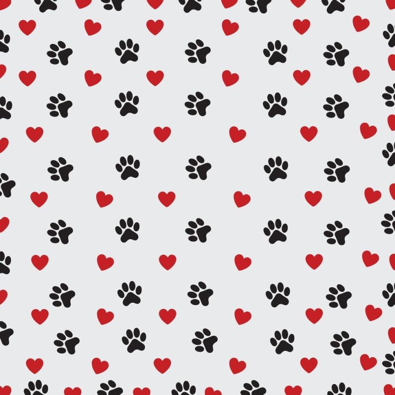 CINTILLO DE PERRO HEARTS